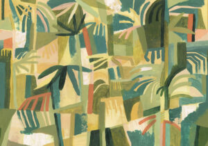 Amazonia Lima