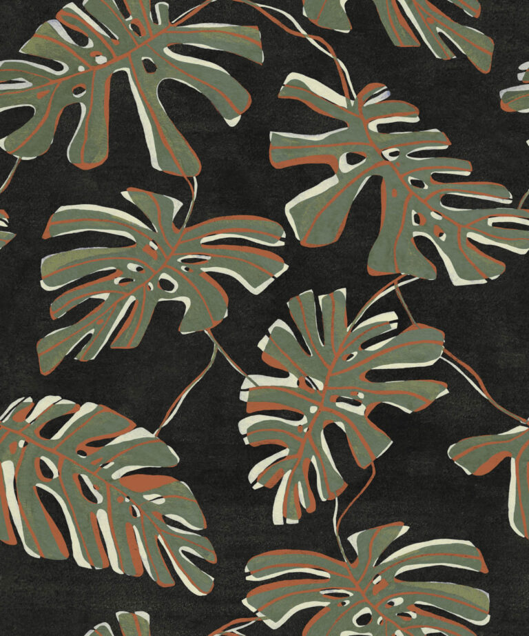 Monstera Ébano