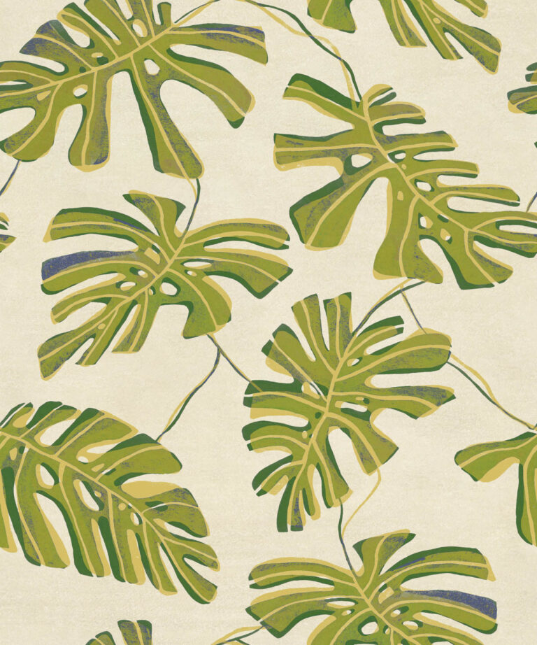 Monstera Lima