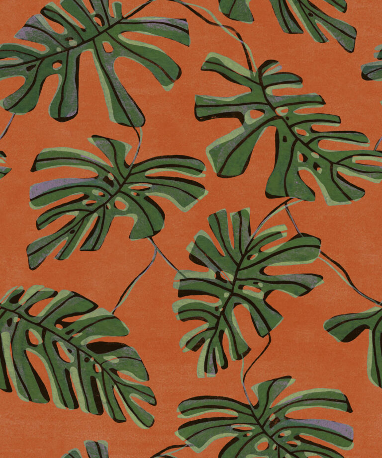 Monstera Naranja